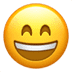 :grinning_face_with_smiling_eyes: :grinning_face_with_smiling_eyes: