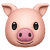 :pig: :pig: